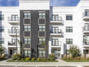 The Ivy Apartment Homes 1 Bedroom Apartment for Rent at...