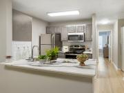 The Jaxon 3 Bedroom Apartment for Rent at 4659 Dawson...