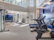 The Kacey at Kingwood Apartments 1 Bedroom Apartment for...