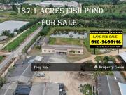 The Large Fish Pond For Sale in Johor