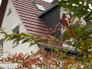 The Leipzig Cottage home away from home