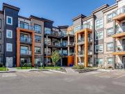 The Level 1 Bedroom Apartment for Rent at 19671 40 St...