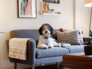 The Mercury Block 2 Bedroom Apartment for Rent at 12322...