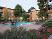 The Monterey Apartments Studio