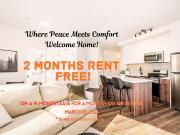The Monterey Fir 05 [object Promise] for Rent