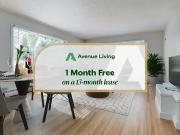 The Mount Royal Bachelor Apartment for Rent