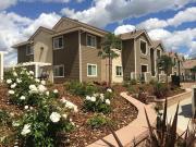 THE OAKS AT HACKBERRY 1 Bedroom 1 Bathroom
