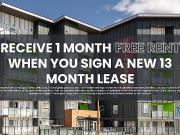 The Onyx Apartments 2 Bedroom Apartment For Rent