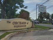 THE ORCHARD OF WEDGEWOOD, SANTA BARBARA, PANGASINAN