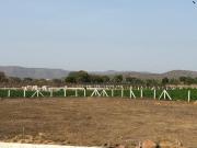 The Palatial Farms,Naugaon Residential Plot For Sale Alwar
