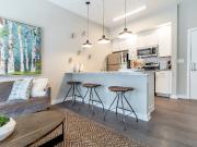 The Penny at Jackson Ward 2 Bedroom Apartment for Rent...