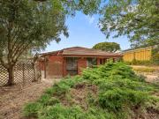 The Perfect Blank Canvas!