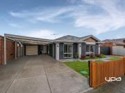 The Perfect Start in Prime Ashfield Estate