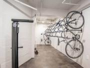 The Phoenix Apartments Studio Apartment for Rent at 1421...