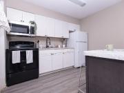 The Pines 1 Bedroom Apartment for Rent at 3923 Jackson...