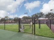 The Quinn at Westchase E2