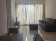 The Raffles Suits Sutera Utama Sutera Mall Bandar Uda