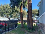 The Redwoods at Fresno 2 Bedroom Apartment for Rent at...