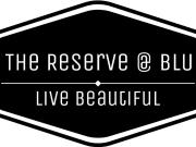 The Reserve @ BLU 4 Bedroom Apartment for Rent at 1237...