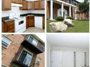 The Residences at Whitehall Studio Apartment for Rent at...