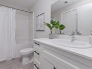 The Rise Apartment Homes 1 Bedroom Apartment for Rent at...