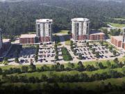 The Rooks of West Bedford