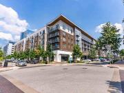 The Standard at Domain 1 Bedroom Apartment for Rent at...