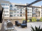 The Standard at Domain Northside 1 Bedroom Apartment for...