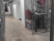 The Sterling Window Lofts 1 Bedroom Apartment for Rent...