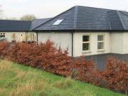 The Strand Ballickmoyler Carlow Carlow Town Co Carlow