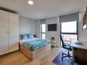 The Summit Annex Studio Bronze