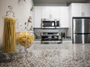 The Summit at Scotts Addition The Vistana Style B