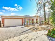 THE ULTIMATE FAMILY PACKAGE