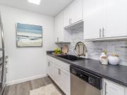 The Valley The Palmer