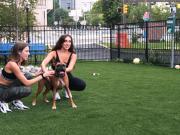 The View at Old City Callow Large