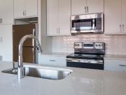 The Watkins at Shockoe 2 Bedroom Apartment for Rent at...
