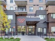The Willow