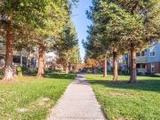 The Woods Apartments 2 Bedroom Apartment for Rent at...