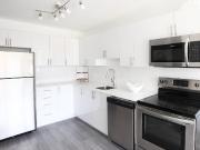 The Woodside, Spadina Suites 1 Bedroom Apartment for...