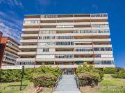 This gem is fantastic value!