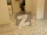 This Is A Brand New, Full Stylish And Modern Design...