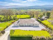 Thistle Do, Ardane Cross, Glen of Aherlow, Co....