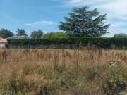 Thorigny Vente Terrain 85