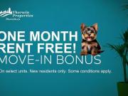 Three Bedroom Suite Winnipeg Pet Friendly Apartment For...