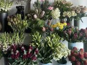 THRIVING FLORIST BUSINESS IN VIBRANT LIFESTYLE PRECINCT