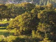 Thummaloor Residential Plot For Sale Hyderabad