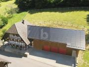 TIERLIEBHABER UND HANDWERKER VIEL UMSCHWUNG