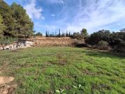 Tierra agrícola 2608 m2