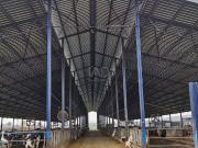 Tierra agrícola 638000 m2 m² Lucillos