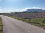 Tierra de cultivo en Granja de Rocamora